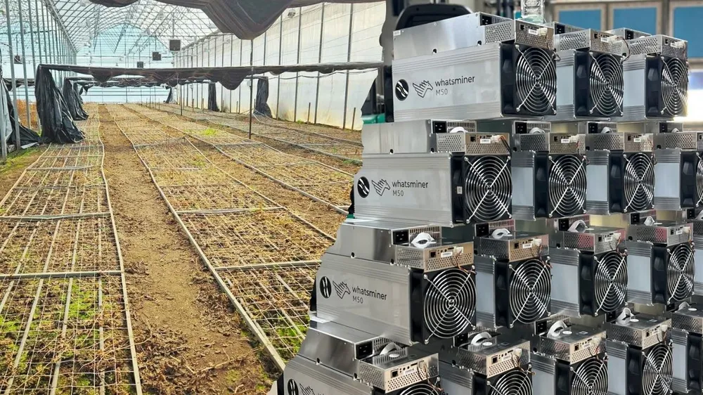 agricoltura-incontra-bitcoin-electricity-mining-di-infinity-hash