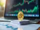 bitcoin-yearly-returns-cosa-ci-dice-la-storia-sui-rendimenti-passati